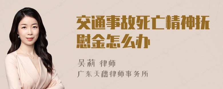 交通事故死亡精神抚慰金怎么办