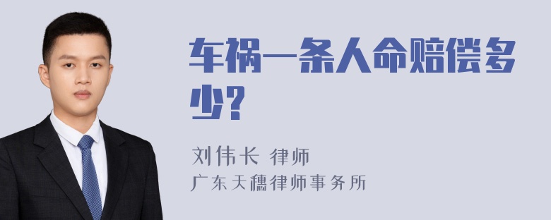 车祸一条人命赔偿多少?