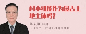 村小组能作为侵占土地主体吗?