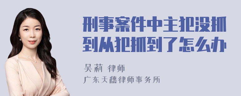 刑事案件中主犯没抓到从犯抓到了怎么办