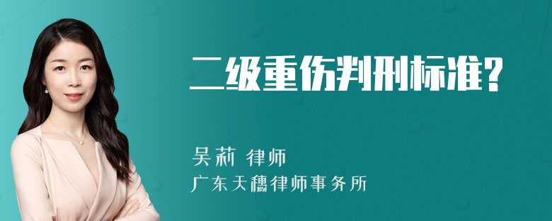 二级重伤判刑标准?