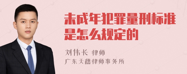 未成年犯罪量刑标准是怎么规定的