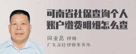 可南省社保查询个人账户缴费明细怎么查