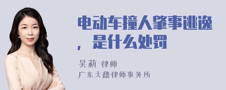 电动车撞人肇事逃逸，是什么处罚