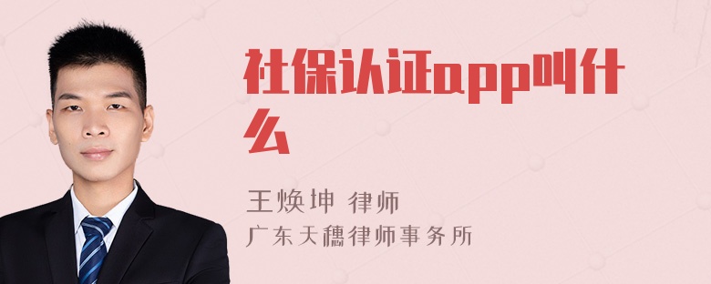 社保认证app叫什么