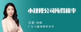 小规模公司所得税率