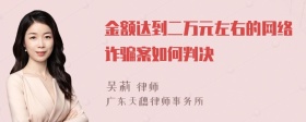 金额达到二万元左右的网络诈骗案如何判决