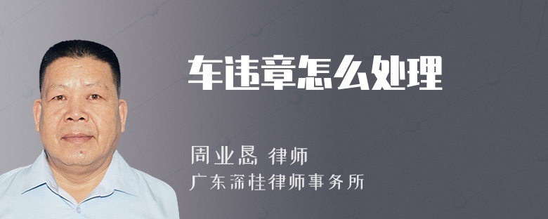 车违章怎么处理