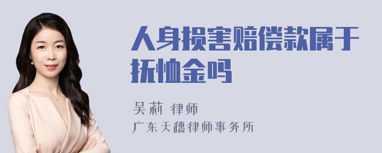 人身损害赔偿款属于抚恤金吗