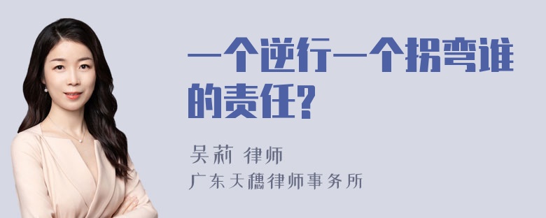 一个逆行一个拐弯谁的责任?