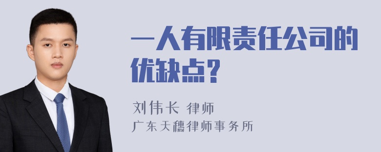 一人有限责任公司的优缺点?