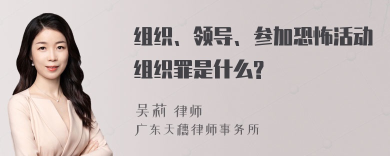 组织、领导、参加恐怖活动组织罪是什么?