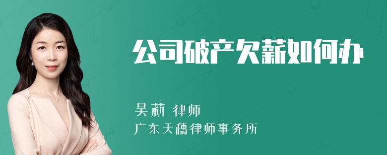 公司破产欠薪如何办