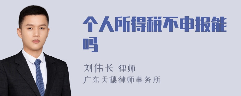 个人所得税不申报能吗