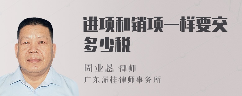 进项和销项一样要交多少税