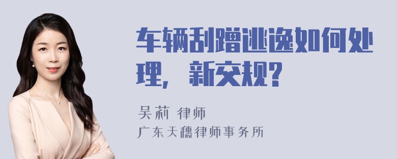 车辆刮蹭逃逸如何处理，新交规?