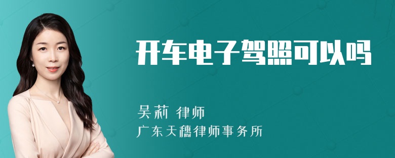 开车电子驾照可以吗