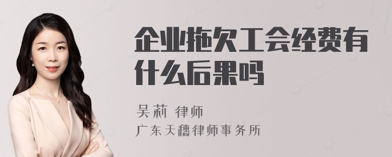 企业拖欠工会经费有什么后果吗