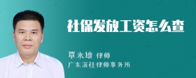 社保发放工资怎么查