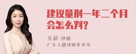 建议量刑一年二个月会怎么判？