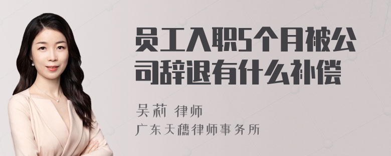 员工入职5个月被公司辞退有什么补偿