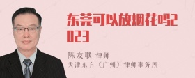 东莞可以放烟花吗2023