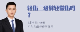 轻伤二级算轻微伤吗？