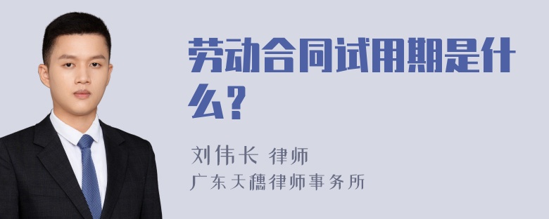 劳动合同试用期是什么？