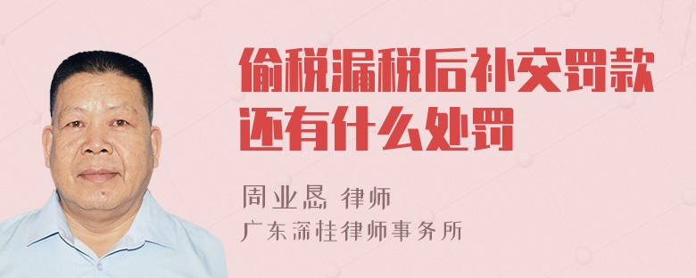 偷税漏税后补交罚款还有什么处罚