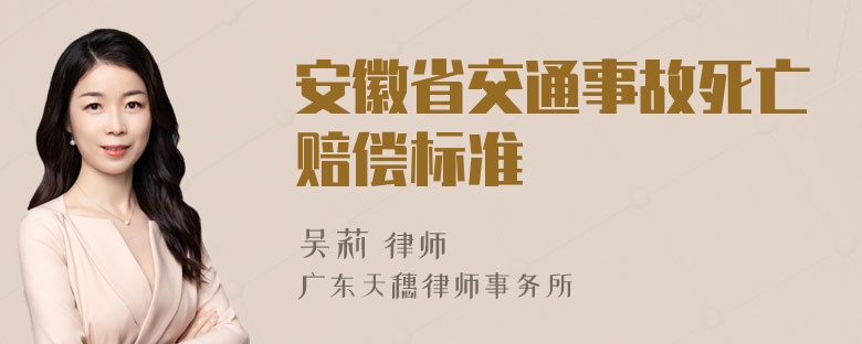 安徽省交通事故死亡赔偿标准