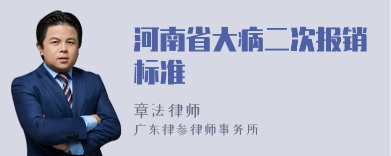 河南省大病二次报销标准