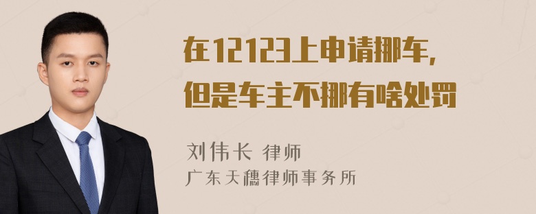 在12123上申请挪车，但是车主不挪有啥处罚