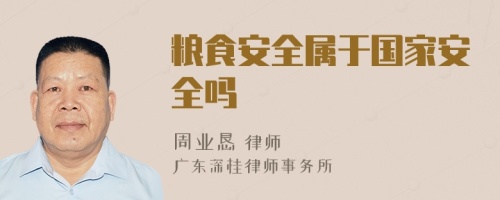 粮食安全属于国家安全吗
