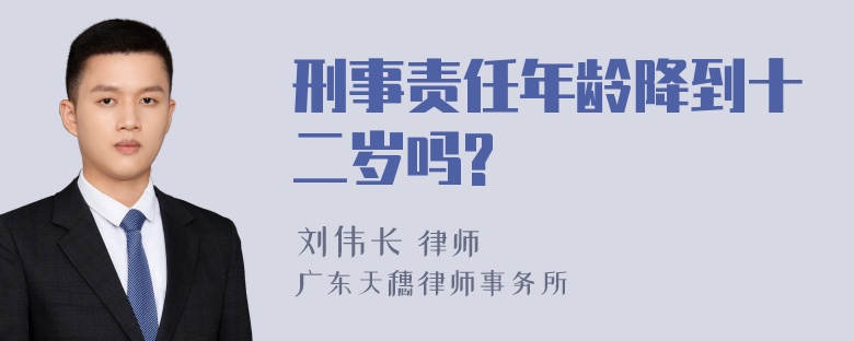 刑事责任年龄降到十二岁吗?