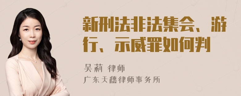 新刑法非法集会、游行、示威罪如何判