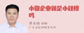 小微企业就是小规模吗