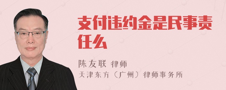 支付违约金是民事责任么