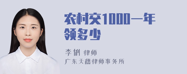 农村交1000一年领多少