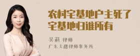 农村宅基地户主死了宅基地归谁所有