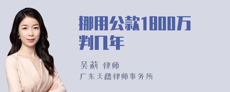 挪用公款1800万判几年