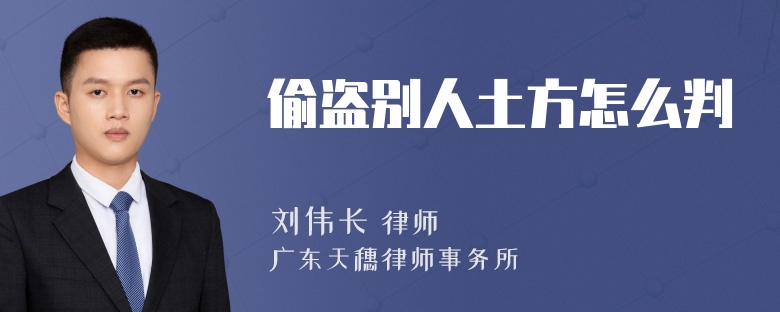 偷盗别人土方怎么判
