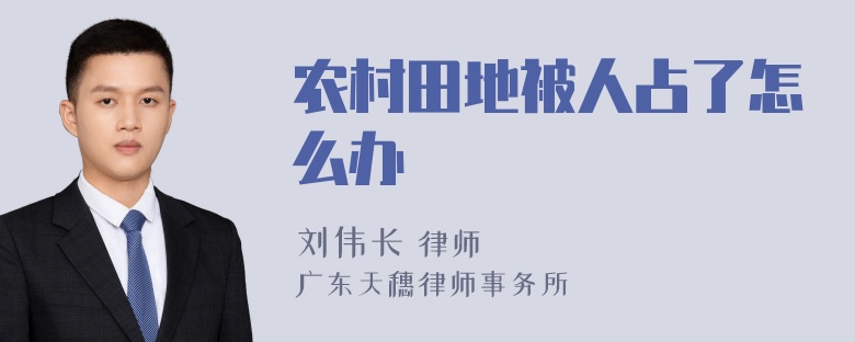 农村田地被人占了怎么办