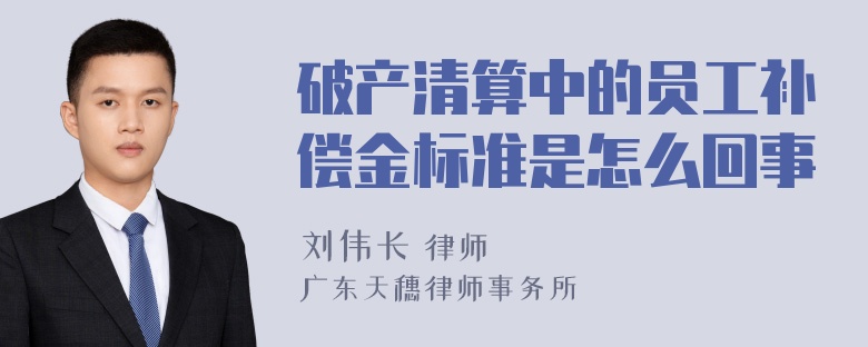 破产清算中的员工补偿金标准是怎么回事