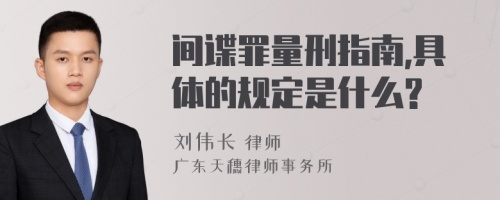 间谍罪量刑指南,具体的规定是什么?