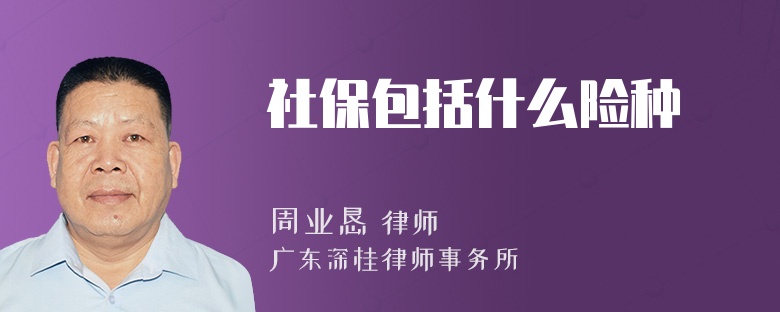 社保包括什么险种