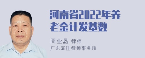 河南省2022年养老金计发基数