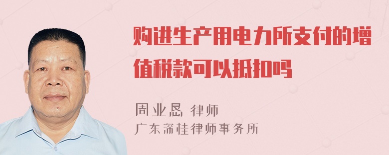 购进生产用电力所支付的增值税款可以抵扣吗