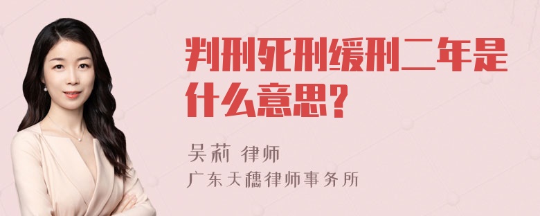 判刑死刑缓刑二年是什么意思?