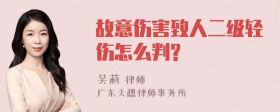 故意伤害致人二级轻伤怎么判?