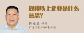 规模以上企业是什么意思?